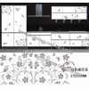 水轉(zhuǎn)印，家具水轉(zhuǎn)印，家具水移畫