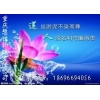 重慶到拉薩物流公司——專(zhuān)線
