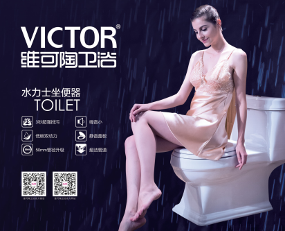 維可陶衛(wèi)?。寒?dāng)隱形房客，悄然毀滅家庭安全