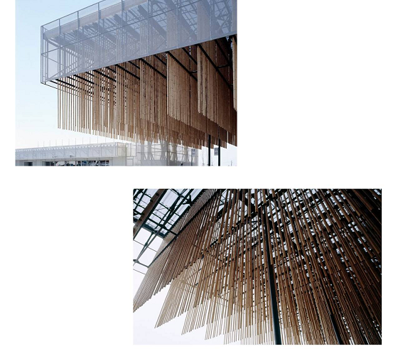 1504505952644450.png 9.png