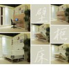 廠家直銷帶桌臺隱形床五金配件、帶桌臺折疊床