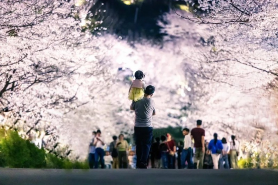 圖片9